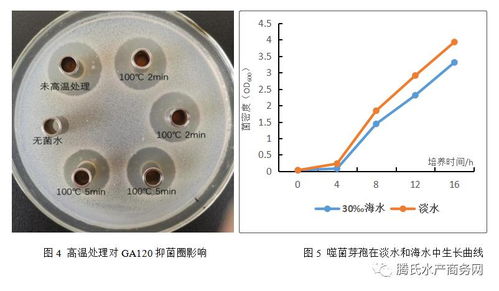 根源集團益倍康GA120 開啟生物抑菌新紀元